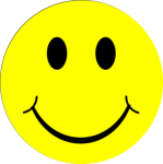 how to write Common Application how to write essay personal statement